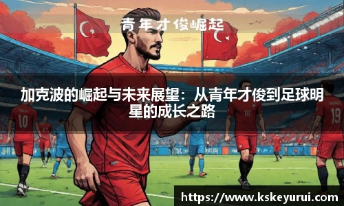 球王会官网